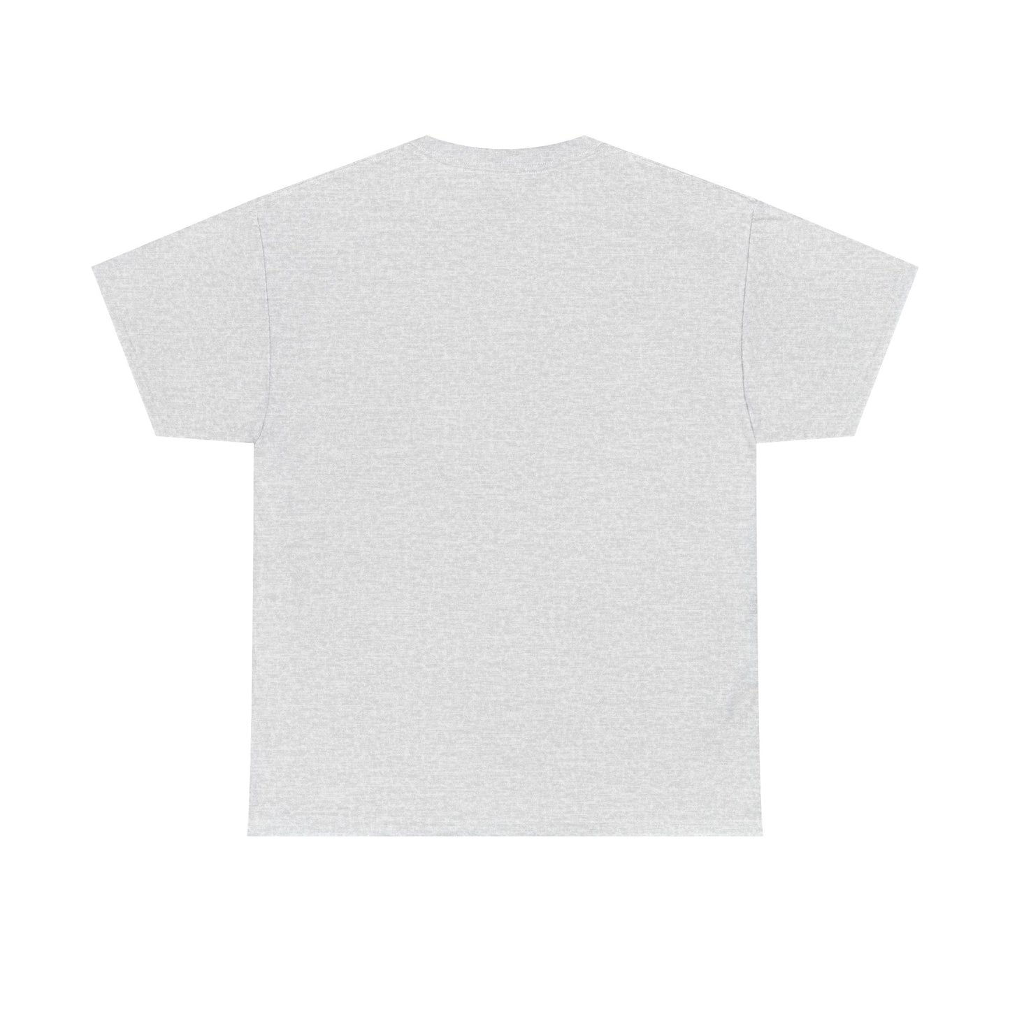 YOUR VIOLIN TEACHER VS MY VIOLIN TEACHER Graphic Tee