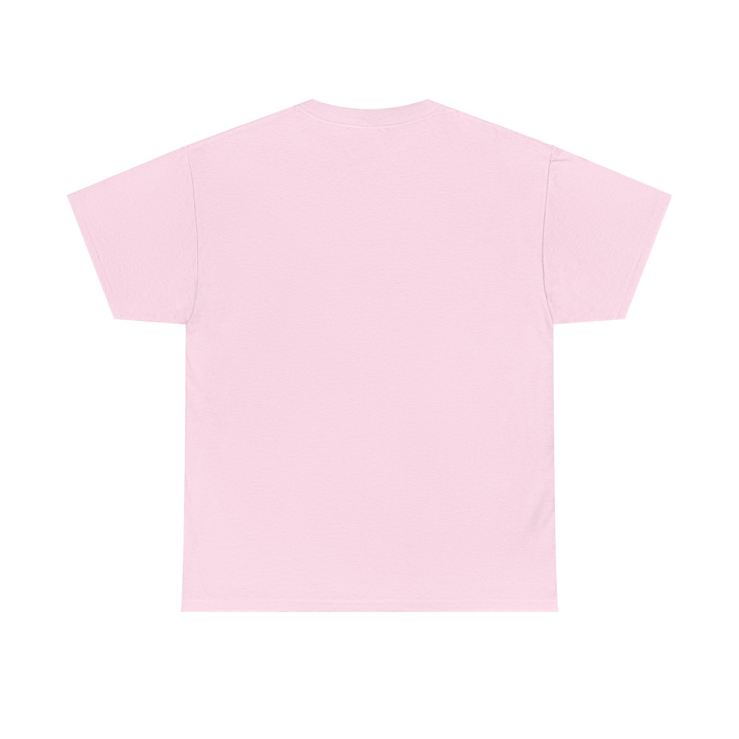 YOUR VIOLIN TEACHER VS MY VIOLIN TEACHER Graphic Tee