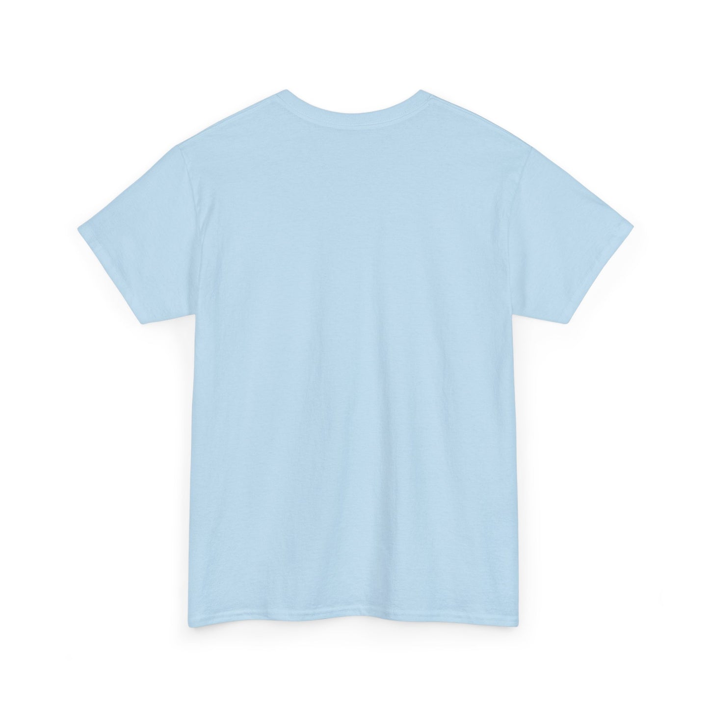 YOUR VIOLIN TEACHER VS MY VIOLIN TEACHER Graphic Tee