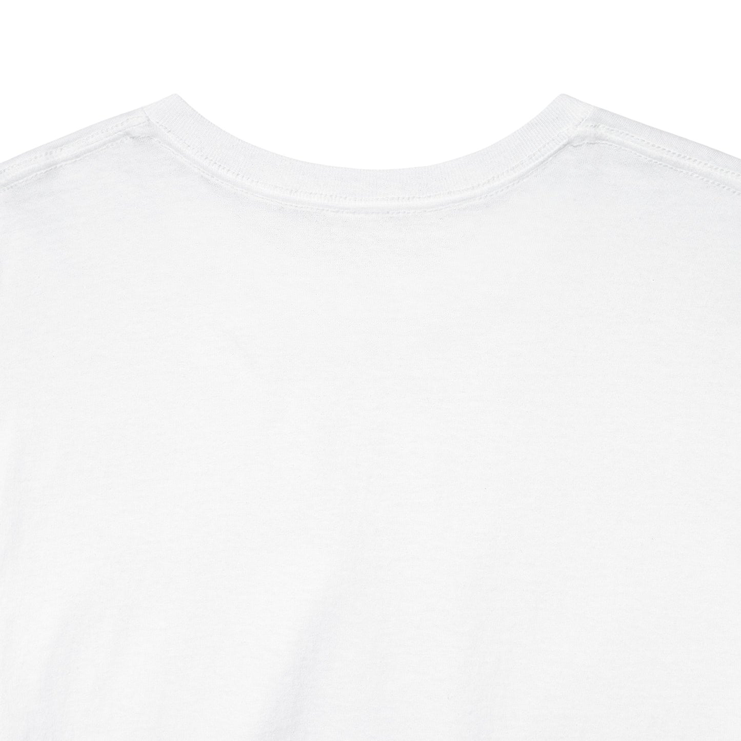 YOUR VIOLIN TEACHER VS MY VIOLIN TEACHER Graphic Tee