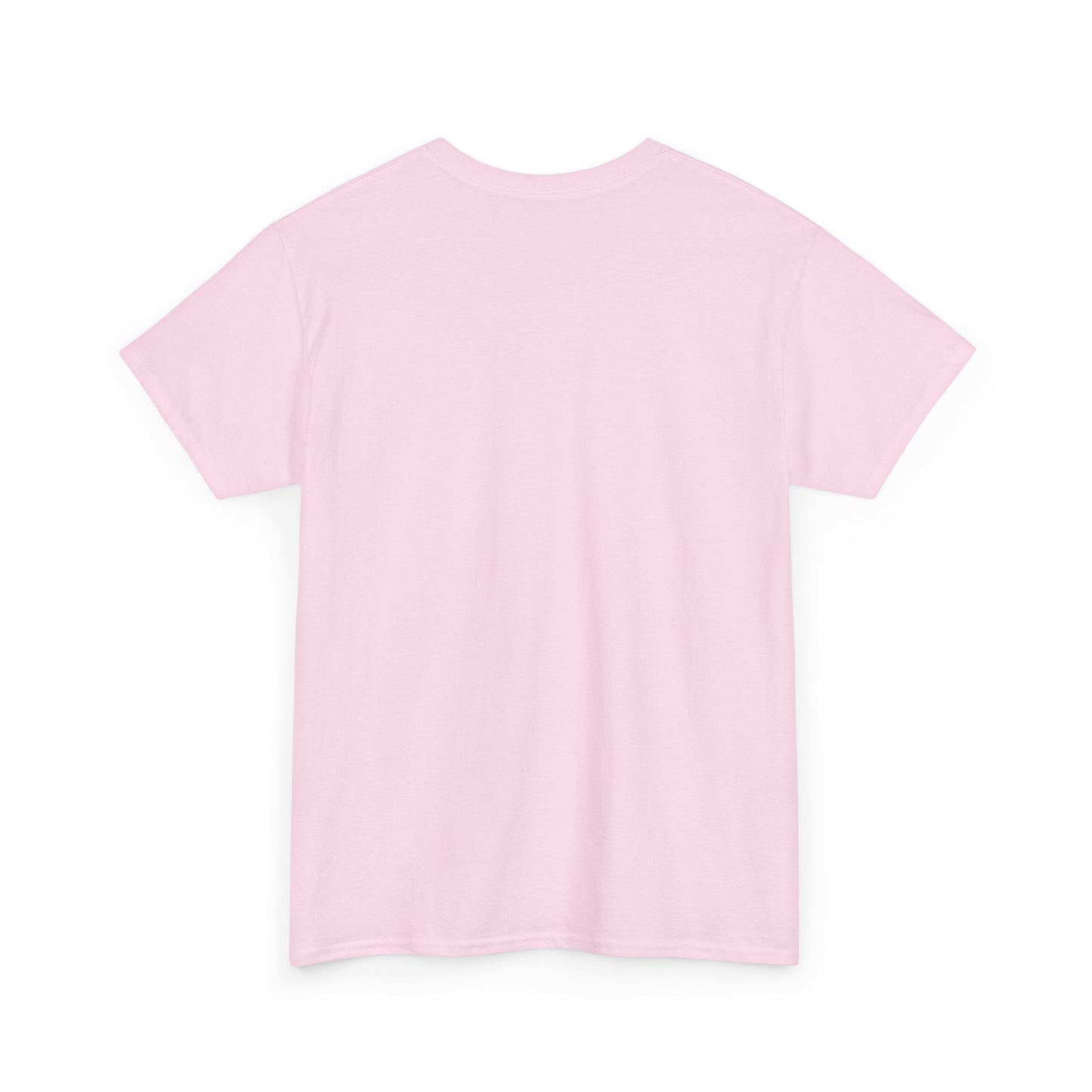 YOUR VIOLIN TEACHER VS MY VIOLIN TEACHER Graphic Tee